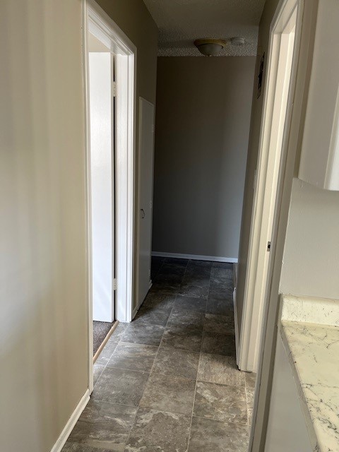 Spacious Bright 1 Bedroom Avalon Area
